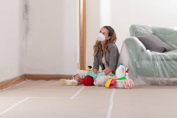 Trusted Crawl Space Mold Removal service in California, PA - WQB Mold Removal